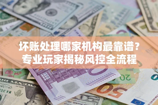 武汉坏账处理哪家机构最靠谱？专业玩家揭秘风控全流程