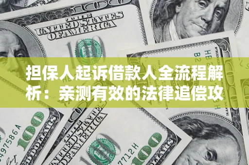 武汉担保人起诉借款人全流程解析：亲测有效的法律追偿攻略