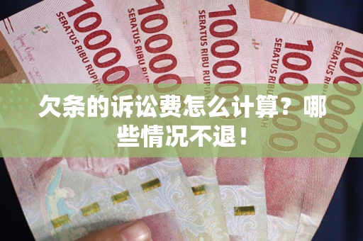 武汉欠条的诉讼费怎么计算？哪些情况不退！