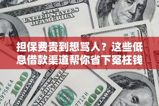 武汉担保费贵到想骂人？这些低息借款渠道帮你省下冤枉钱