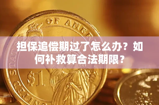 武汉担保追偿期过了怎么办？如何补救算合法期限？