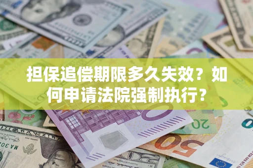 武汉担保追偿期限多久失效？如何申请法院强制执行？