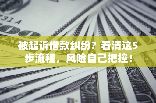武汉被起诉借款纠纷？看清这5步流程，风险自己把控！
